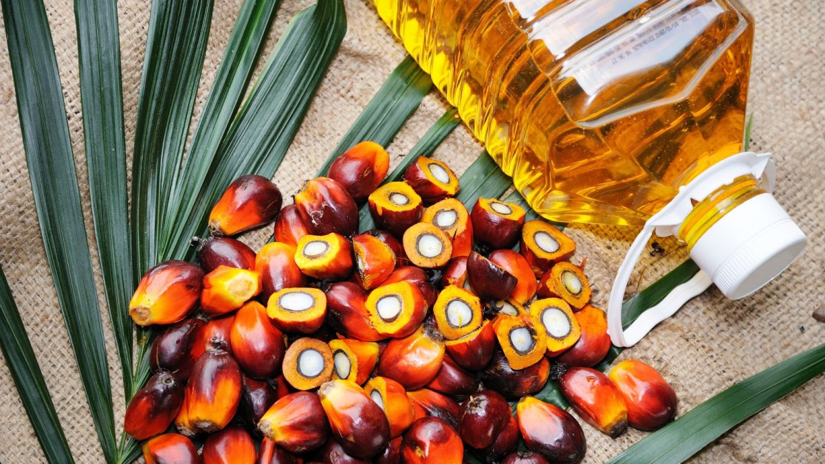 10 Health Benefits of Palm Oil