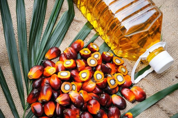 10 Health Benefits of Palm Oil